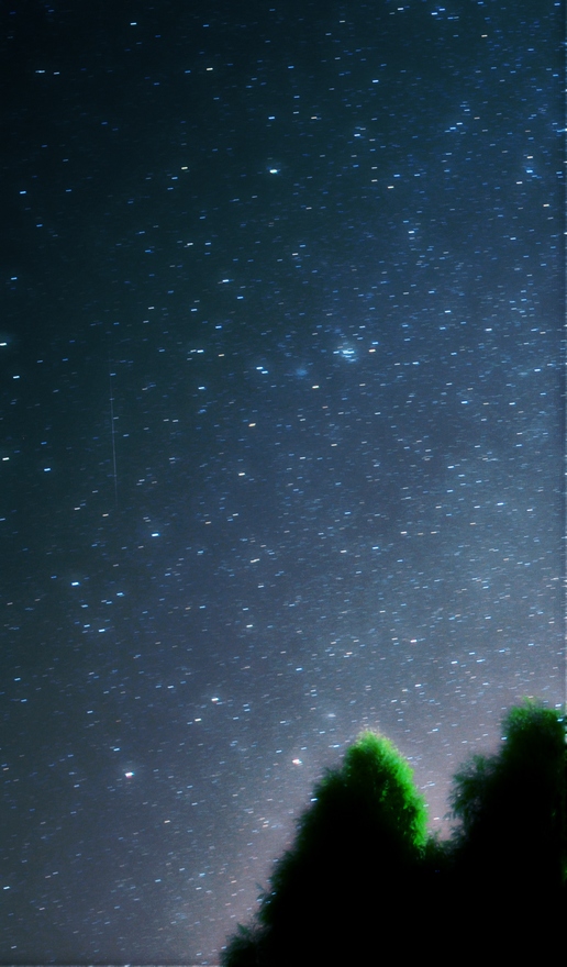 DSC_5919.jpg