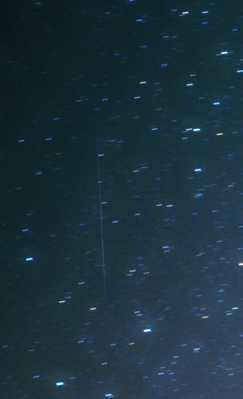 DSC_5919S.jpg