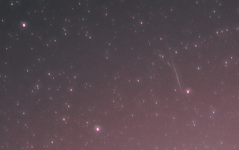 DSC_5952S.jpg