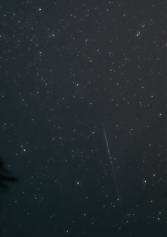 DSC_6017.jpg