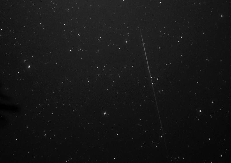 DSC_6017ss.jpg