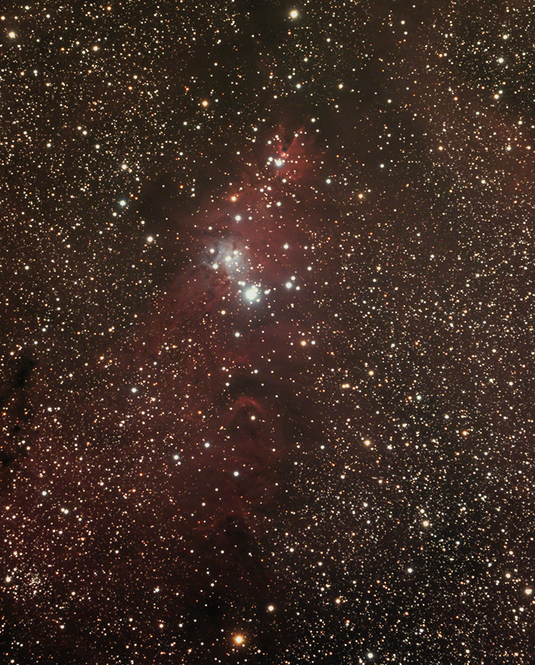 NGC2264M.jpg