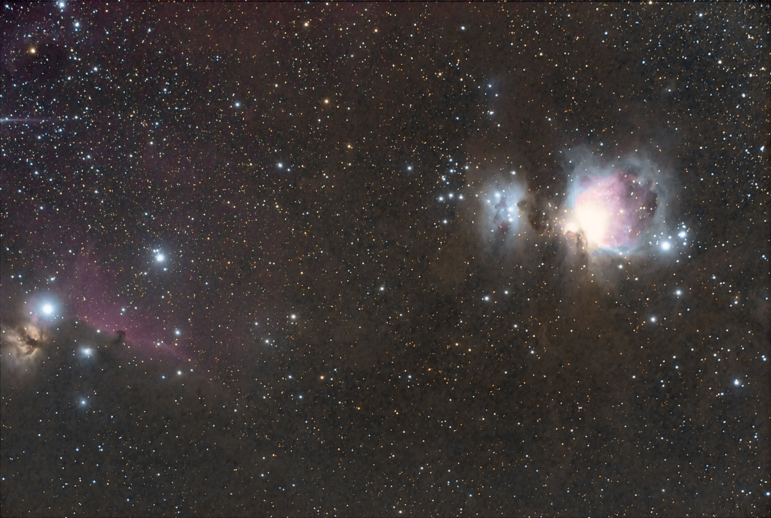 M42-HORSE-STARREPAIR-CURV-FLT-RGB-SCNR-web.jpg
