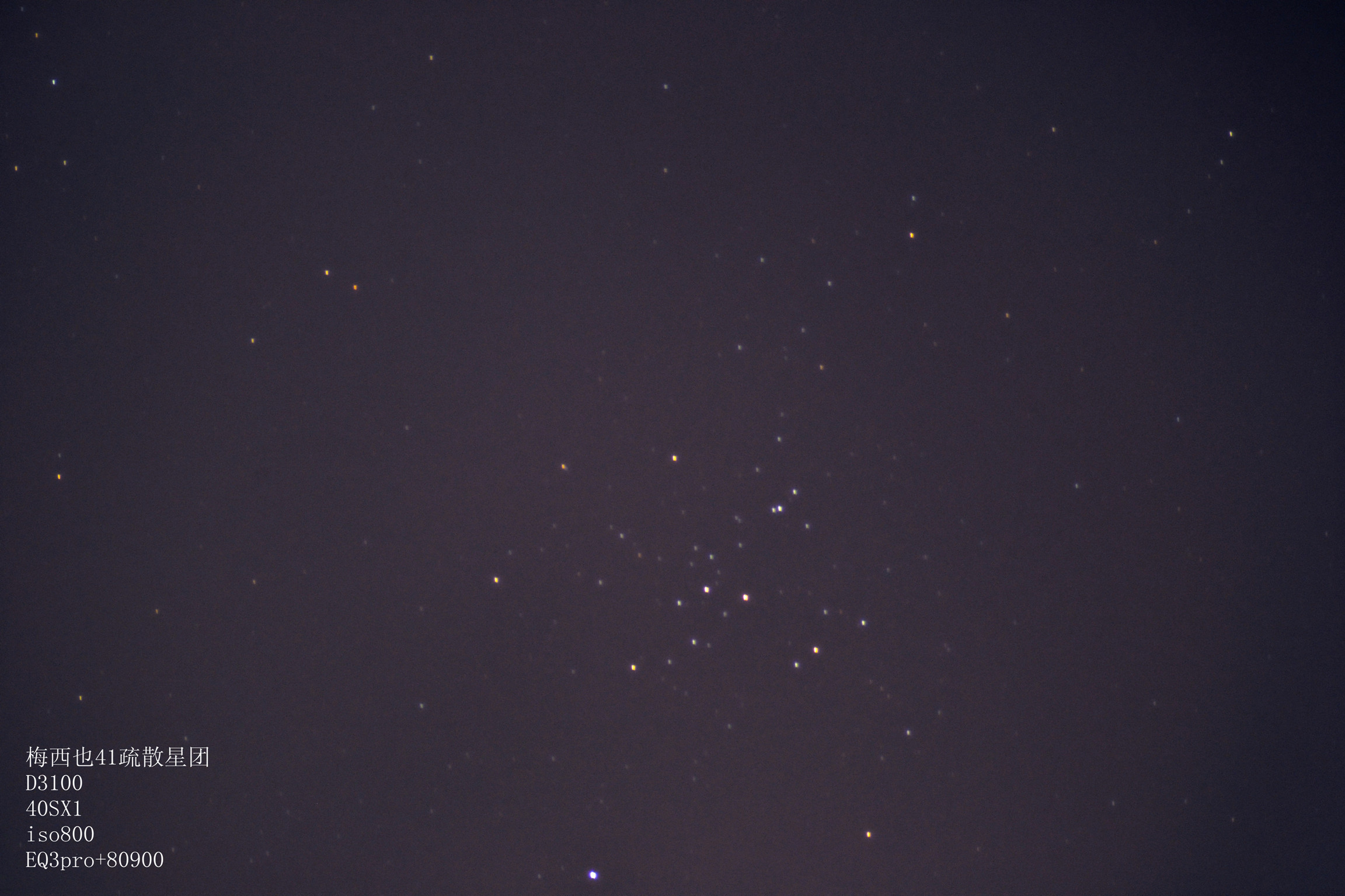 m41_副本_副本.jpg