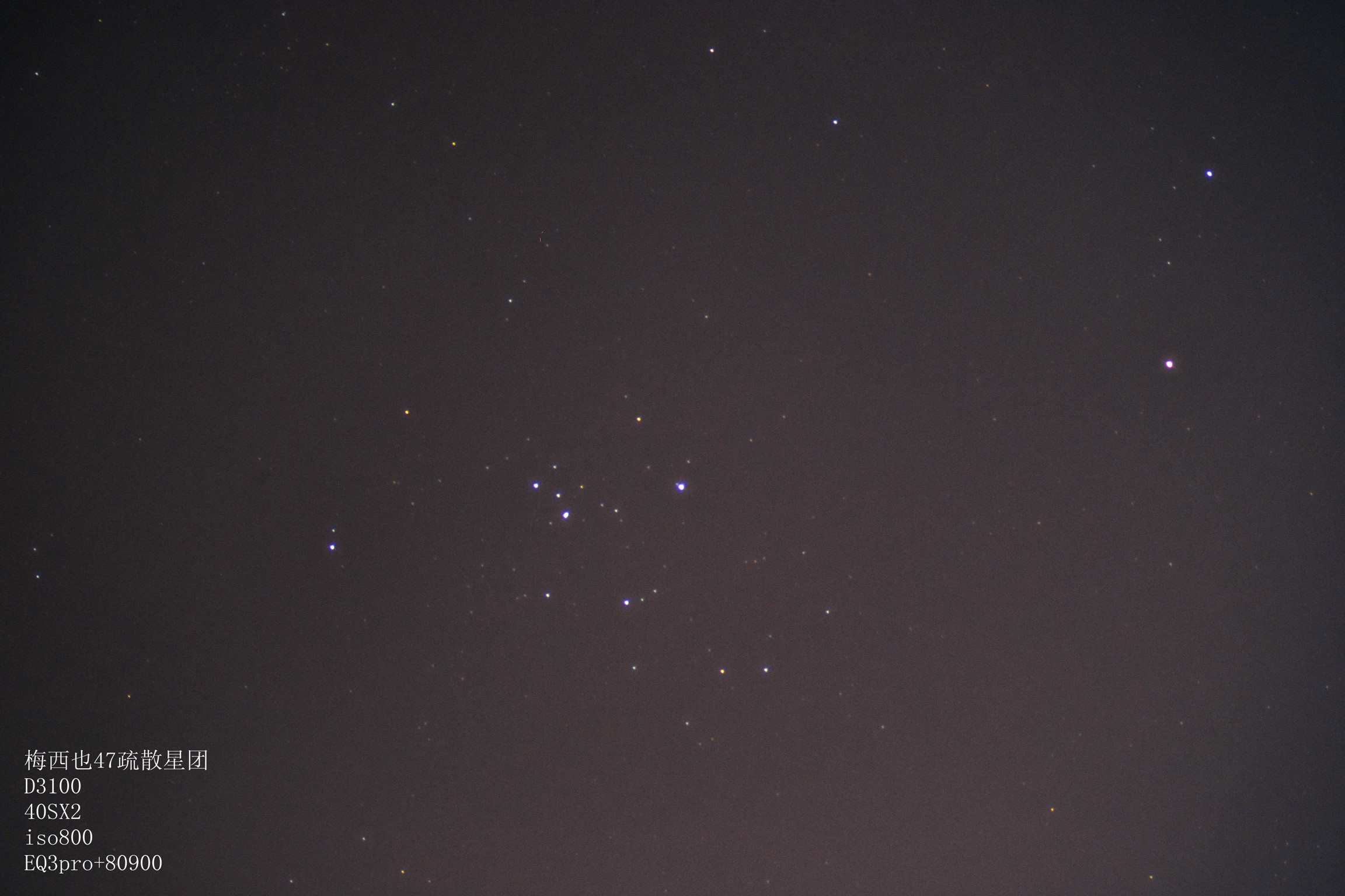 M47_副本_副本.jpg