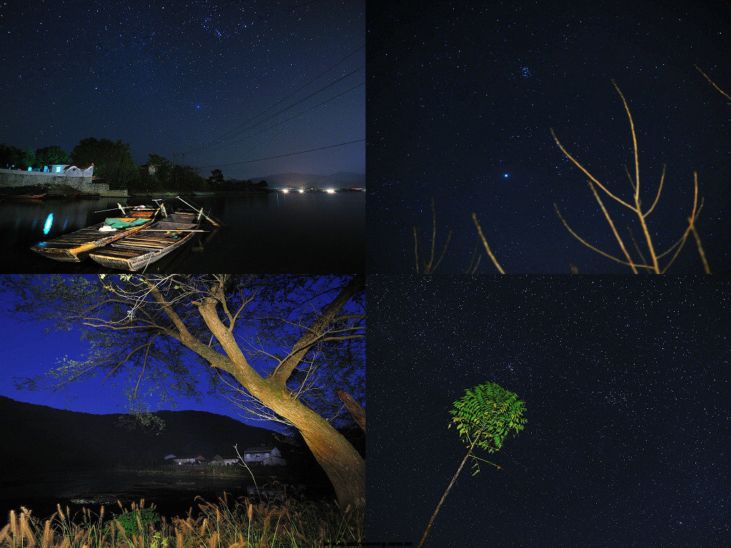 DSC_9204111.jpg