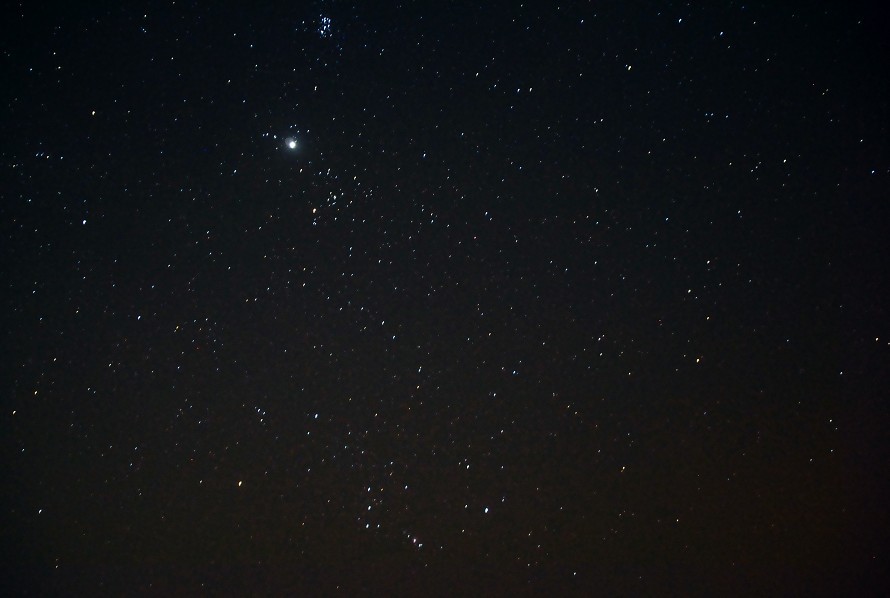 星野.jpg