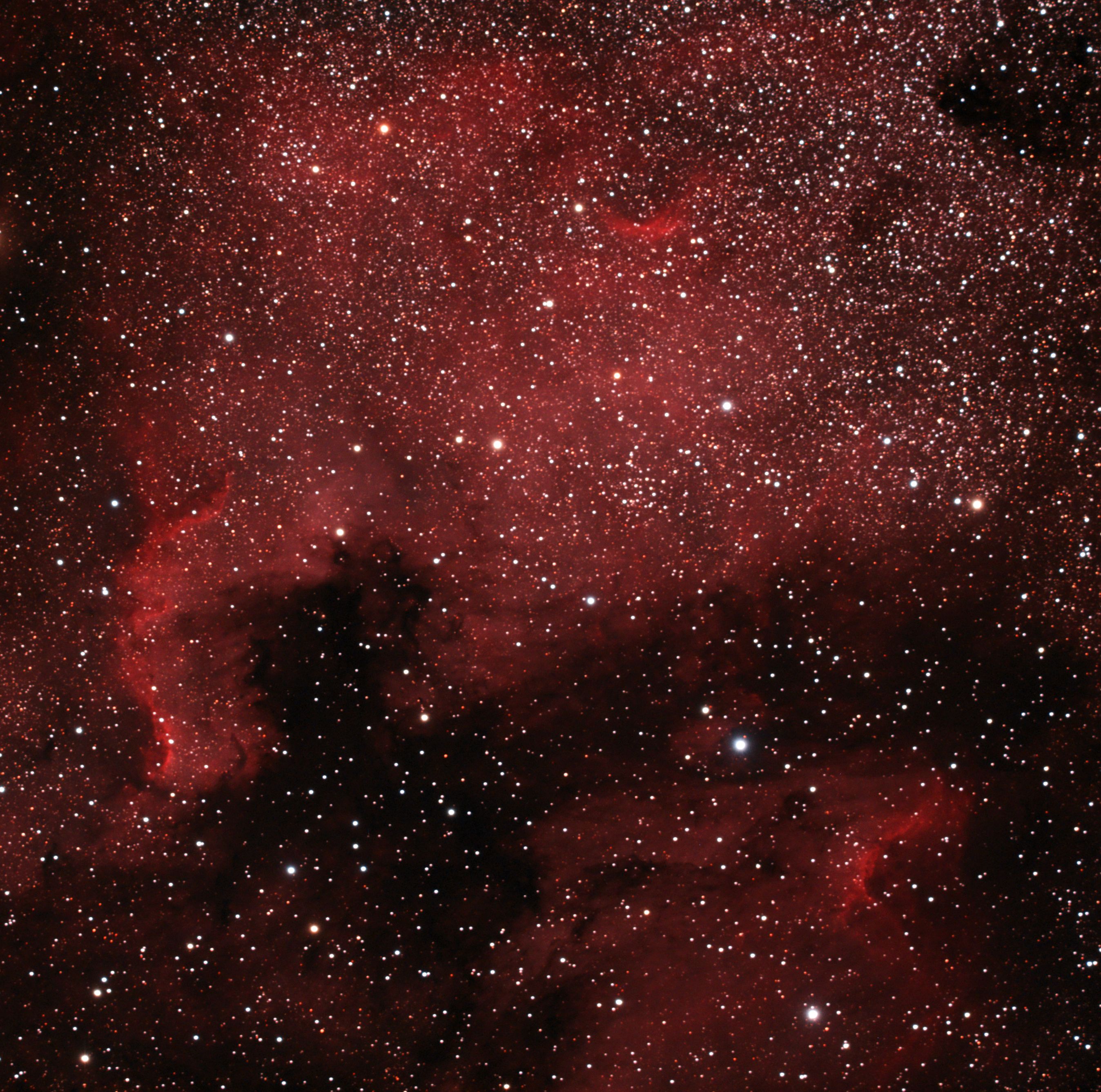 NGC7000-WIDFILED-CUT.jpg