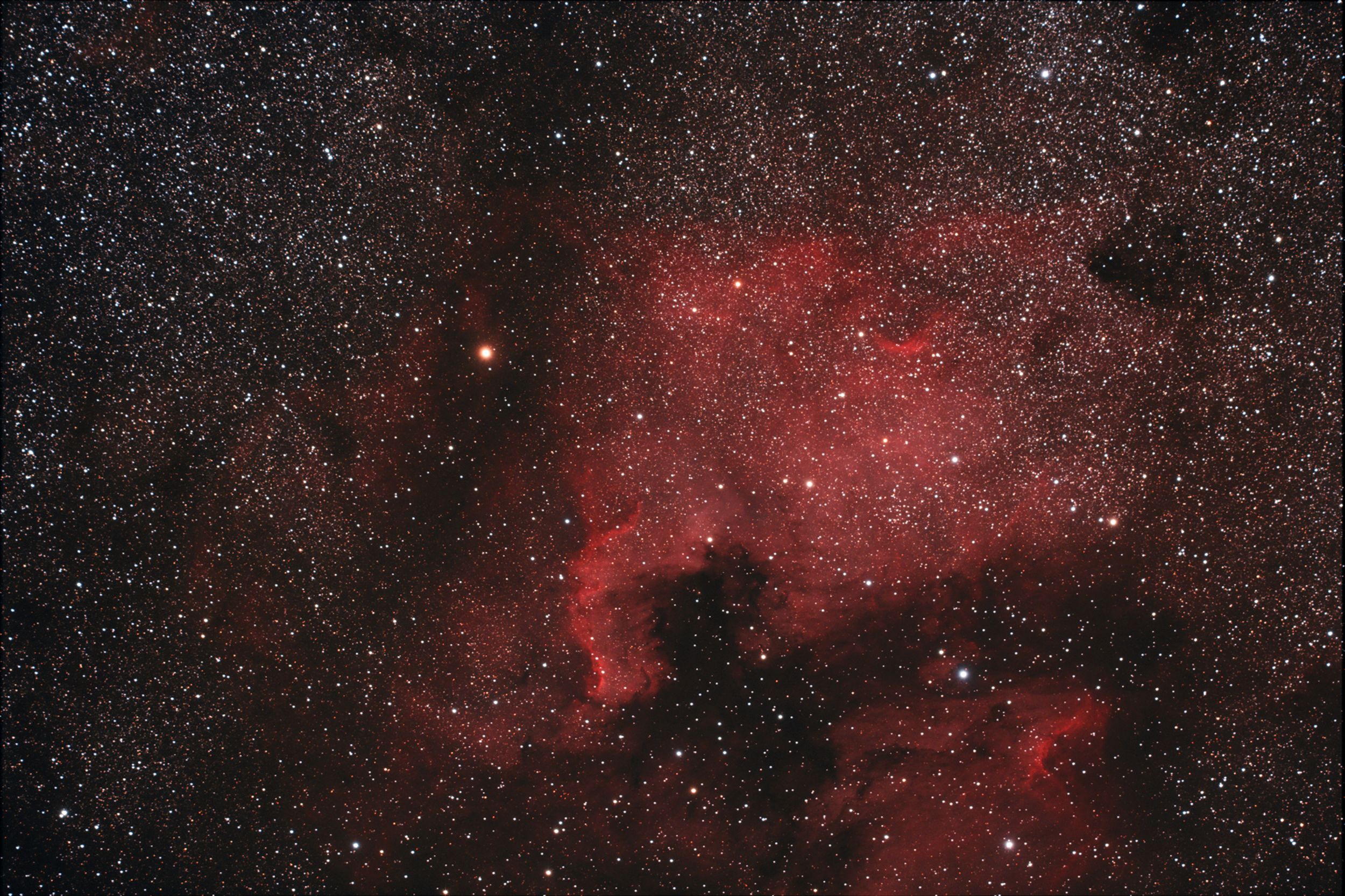 NGC7000-WIDEFIELD.jpg