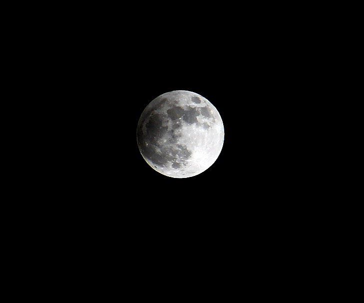 IMG_2705.jpg