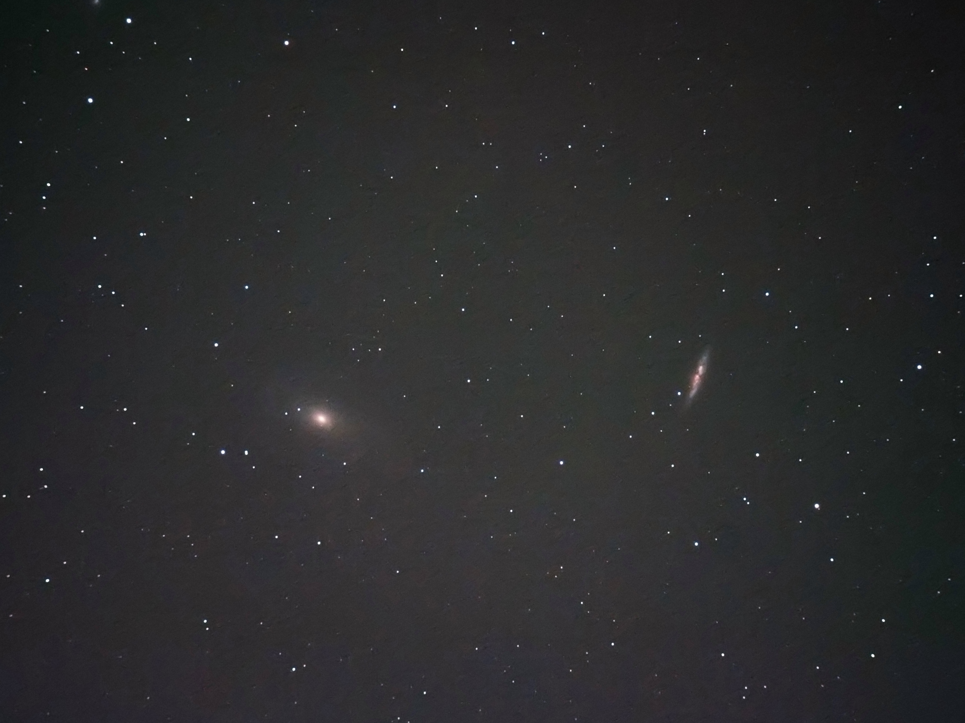 m81.jpg