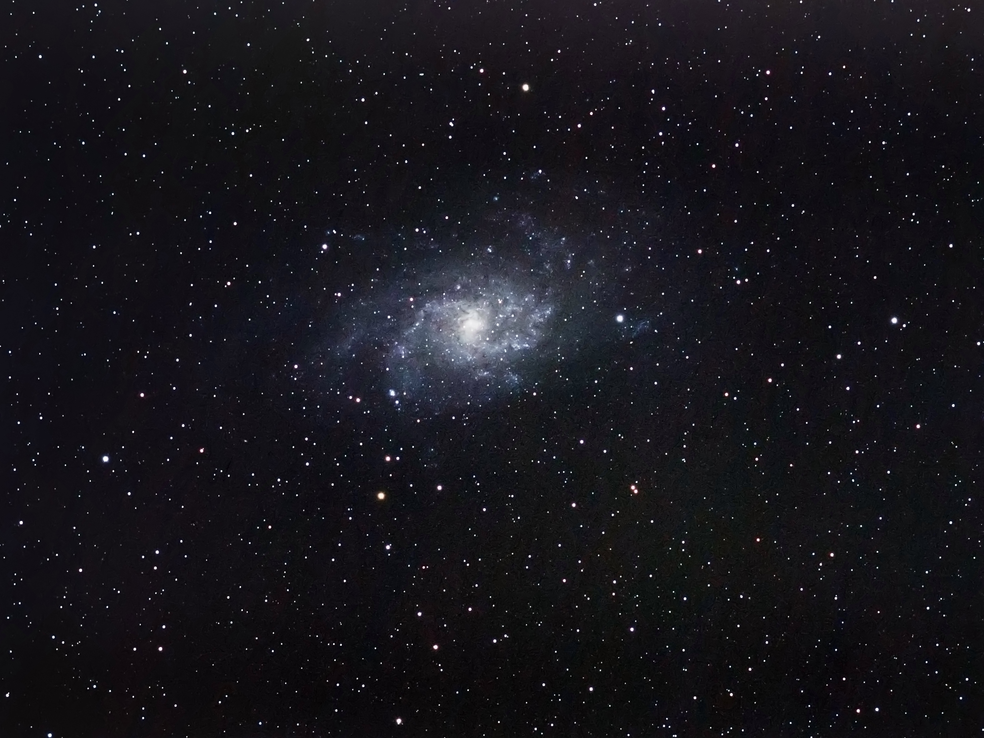 m33.jpg
