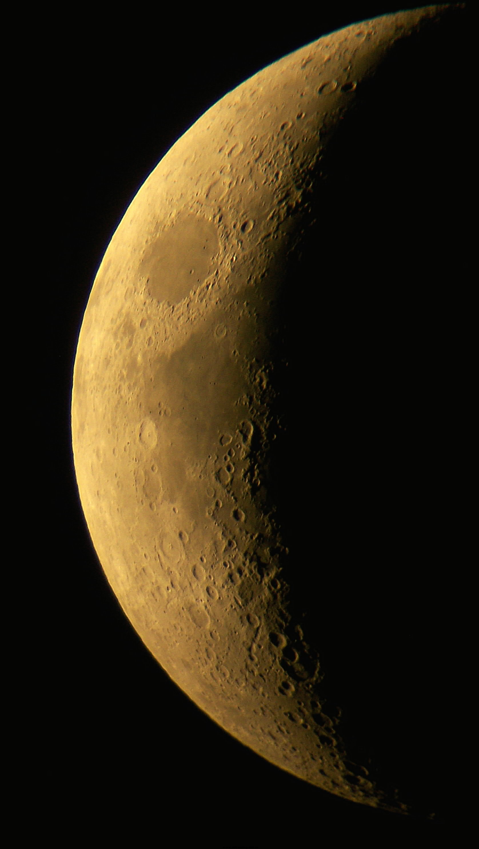 100_1344-001.jpg