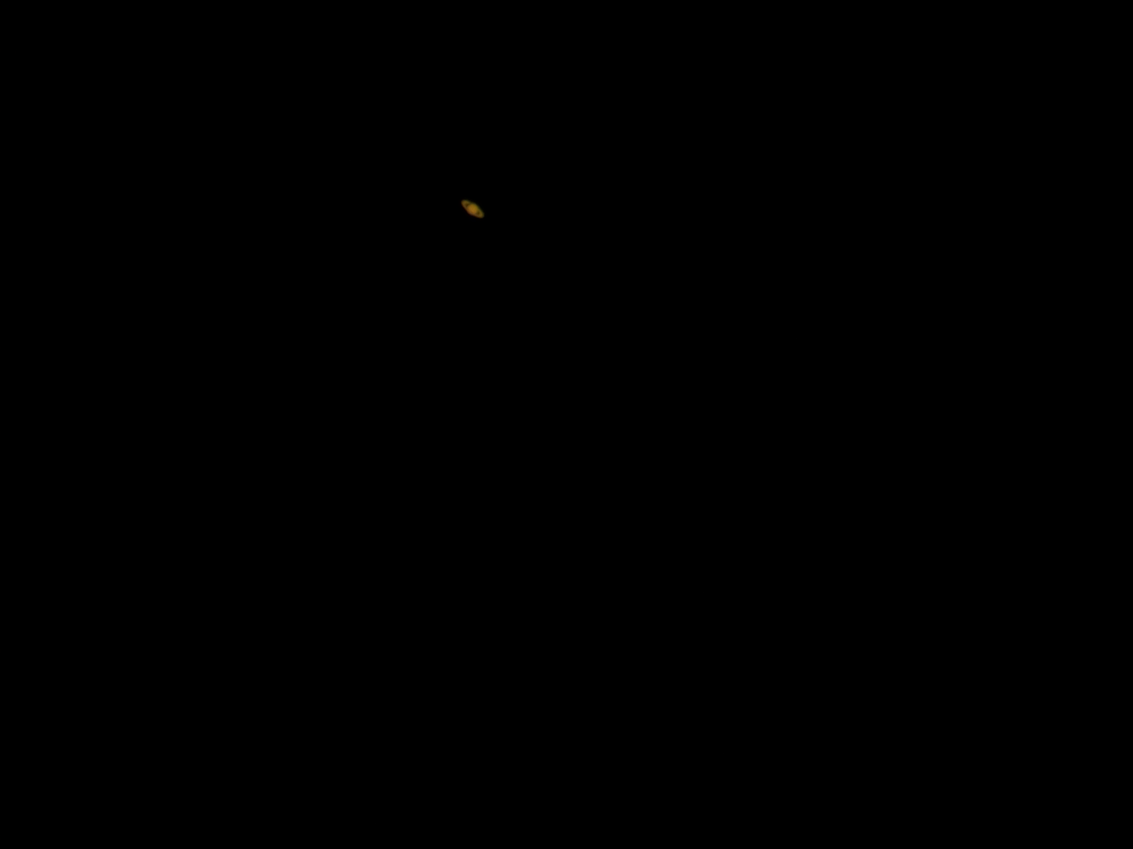 100_1538.JPG