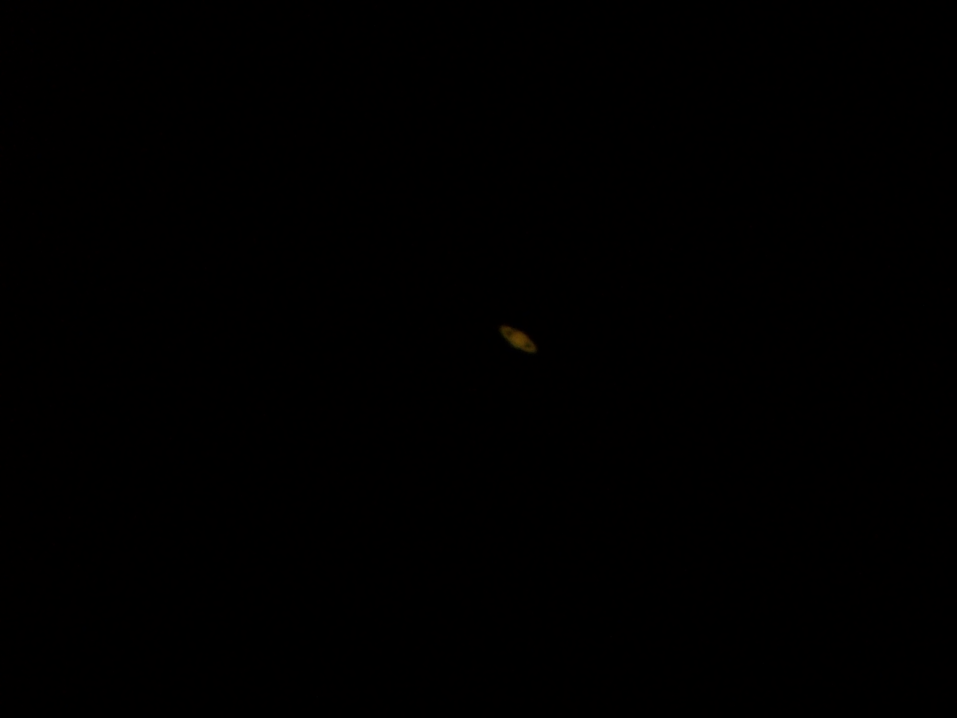 100_1552.JPG