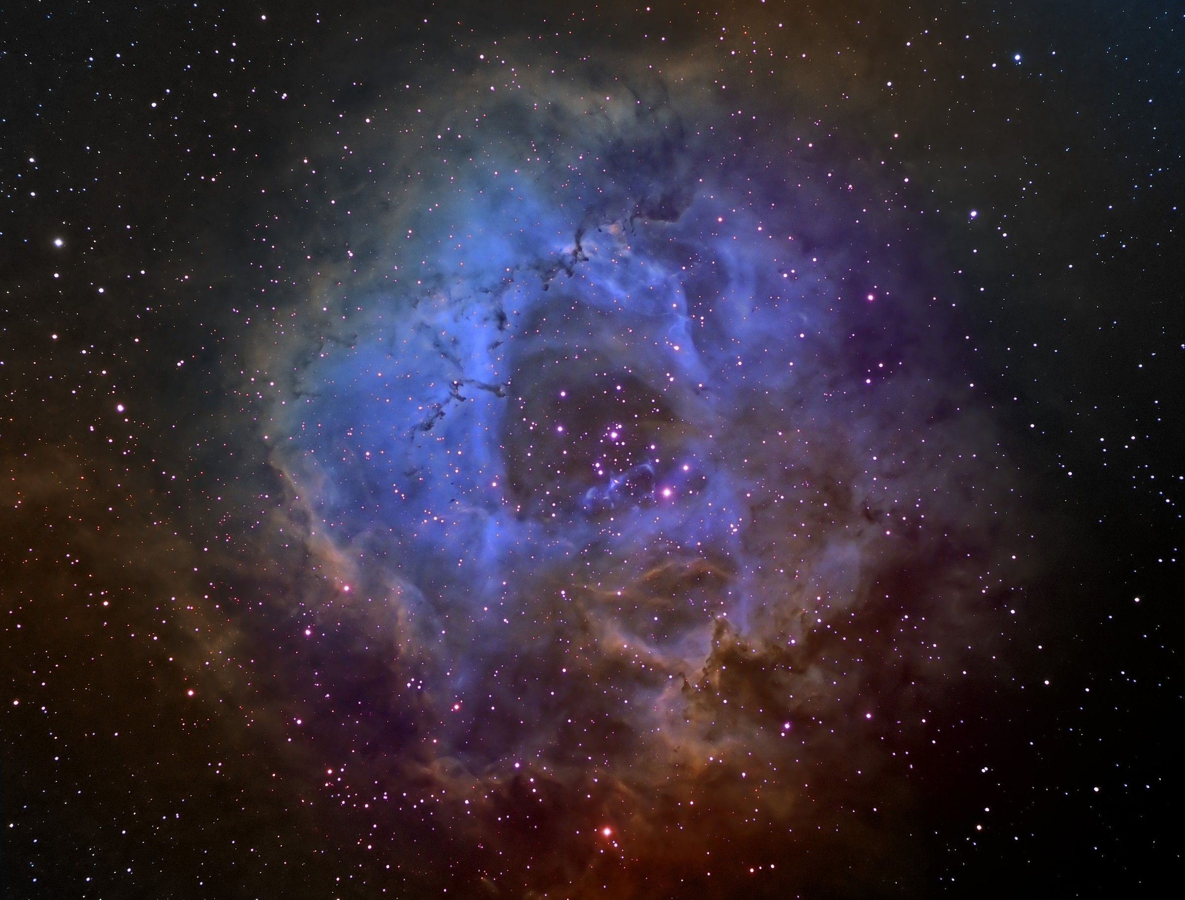 L-Rose-Mean HST-balance-curve-starcolorFinal.jpg