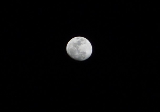 QQ截图20130124235146.jpg