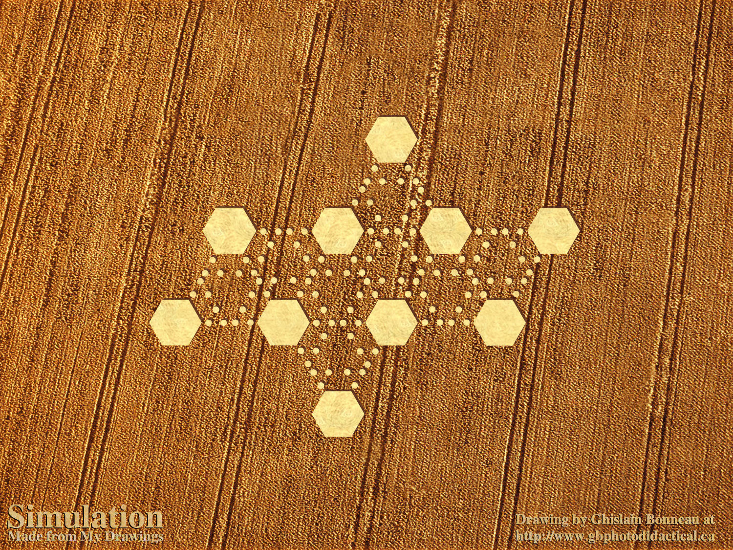 36-crop-SIMULATION-1999-06-24-west-overton-wiltshire-(2-d-unfolded-icosahedron)-d.jpg