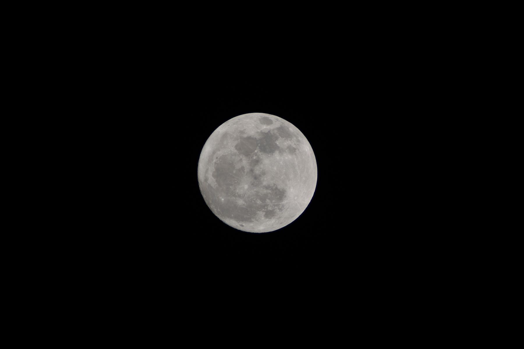 DSC_0020_018.jpg