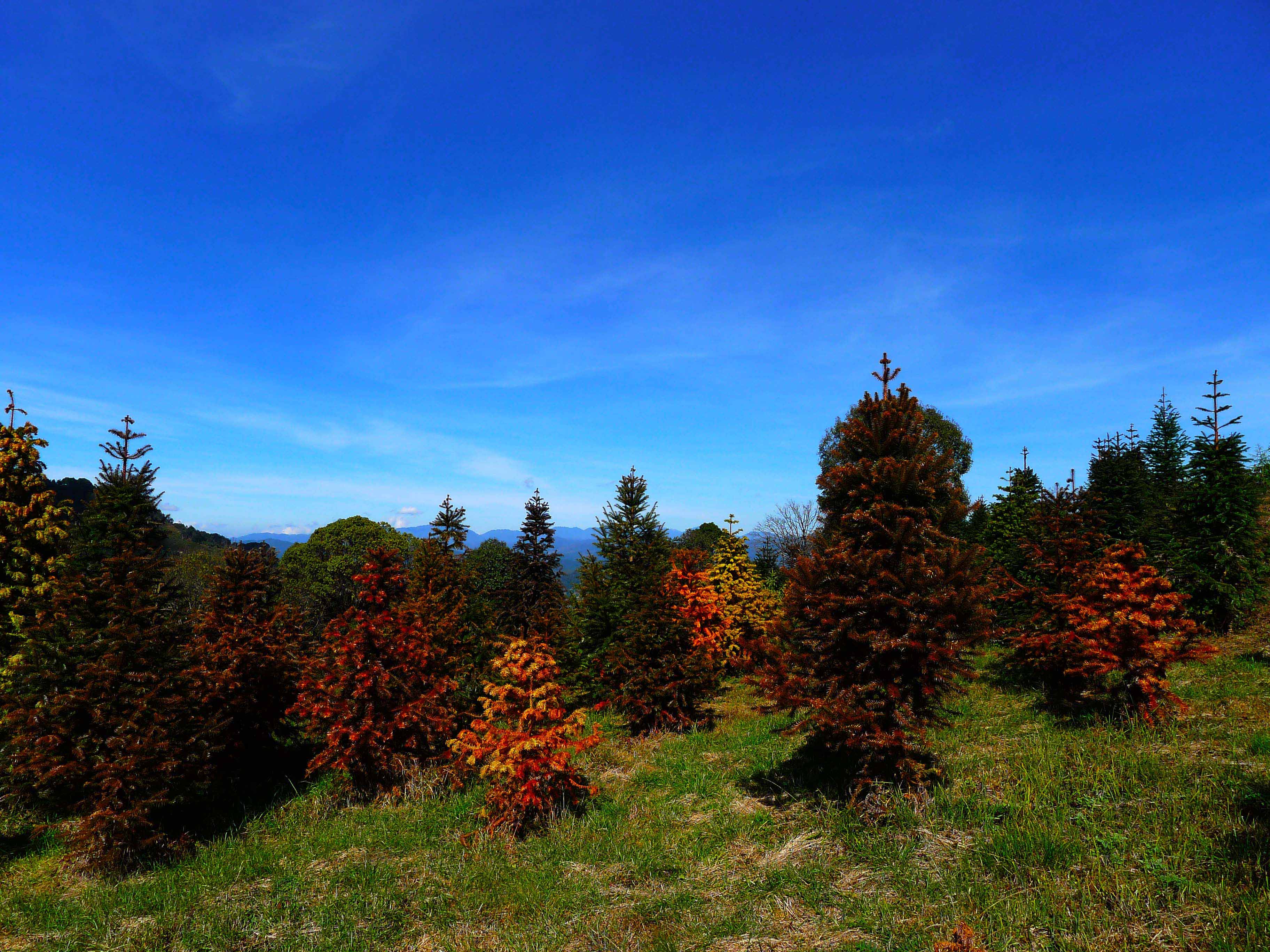 P1030344.jpg