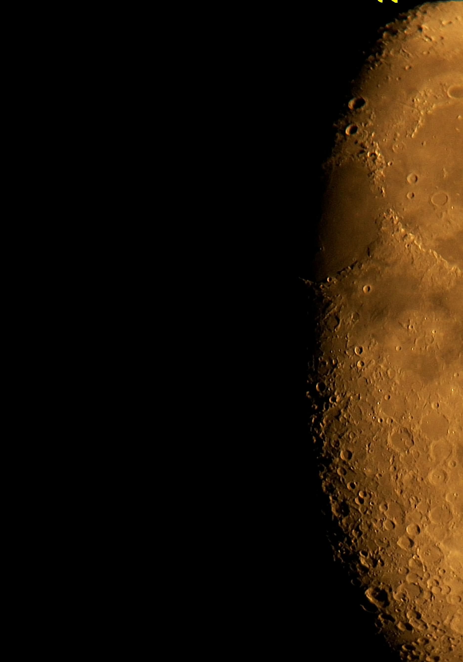 100_2781-001.jpg
