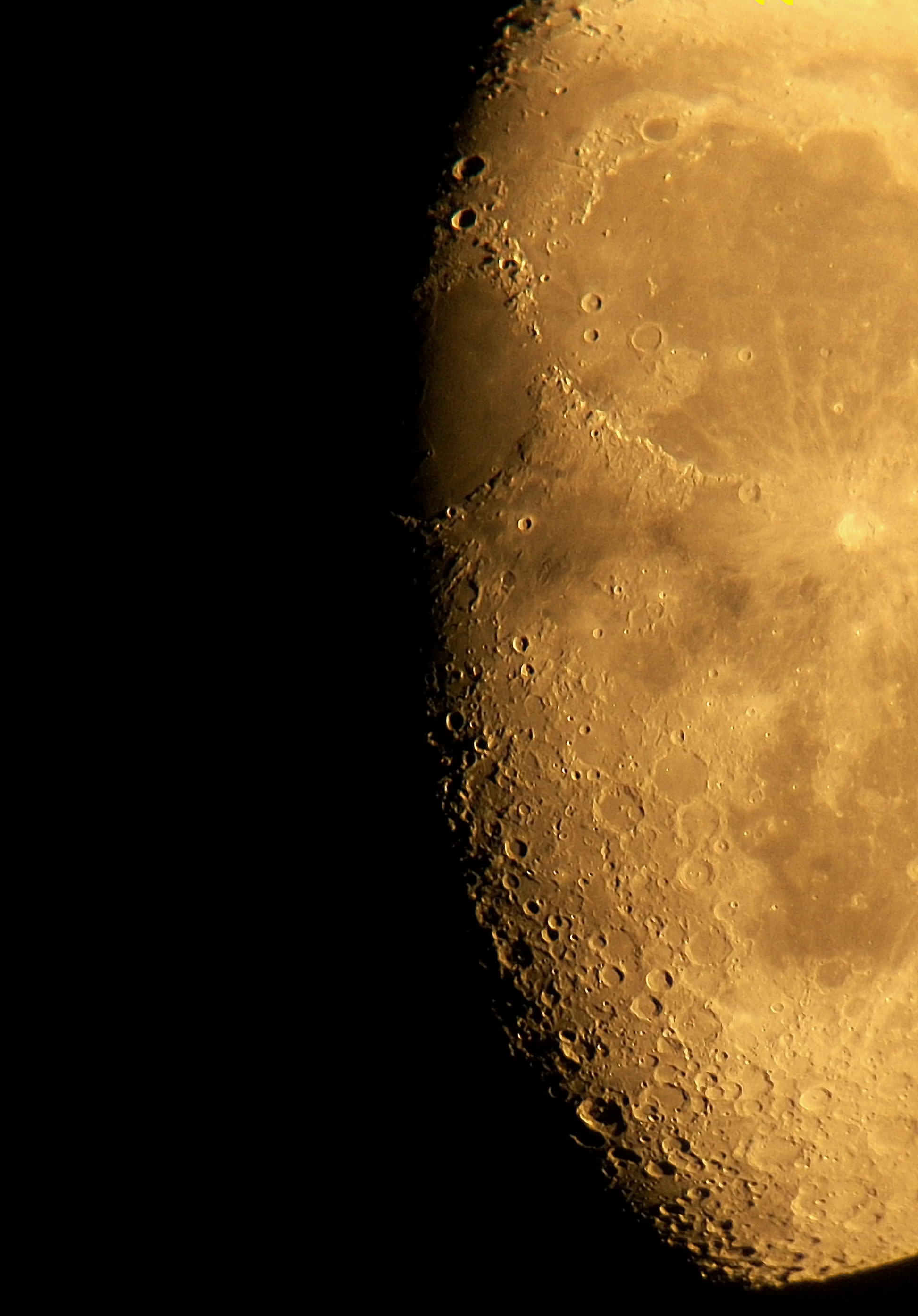100_2806-001.jpg