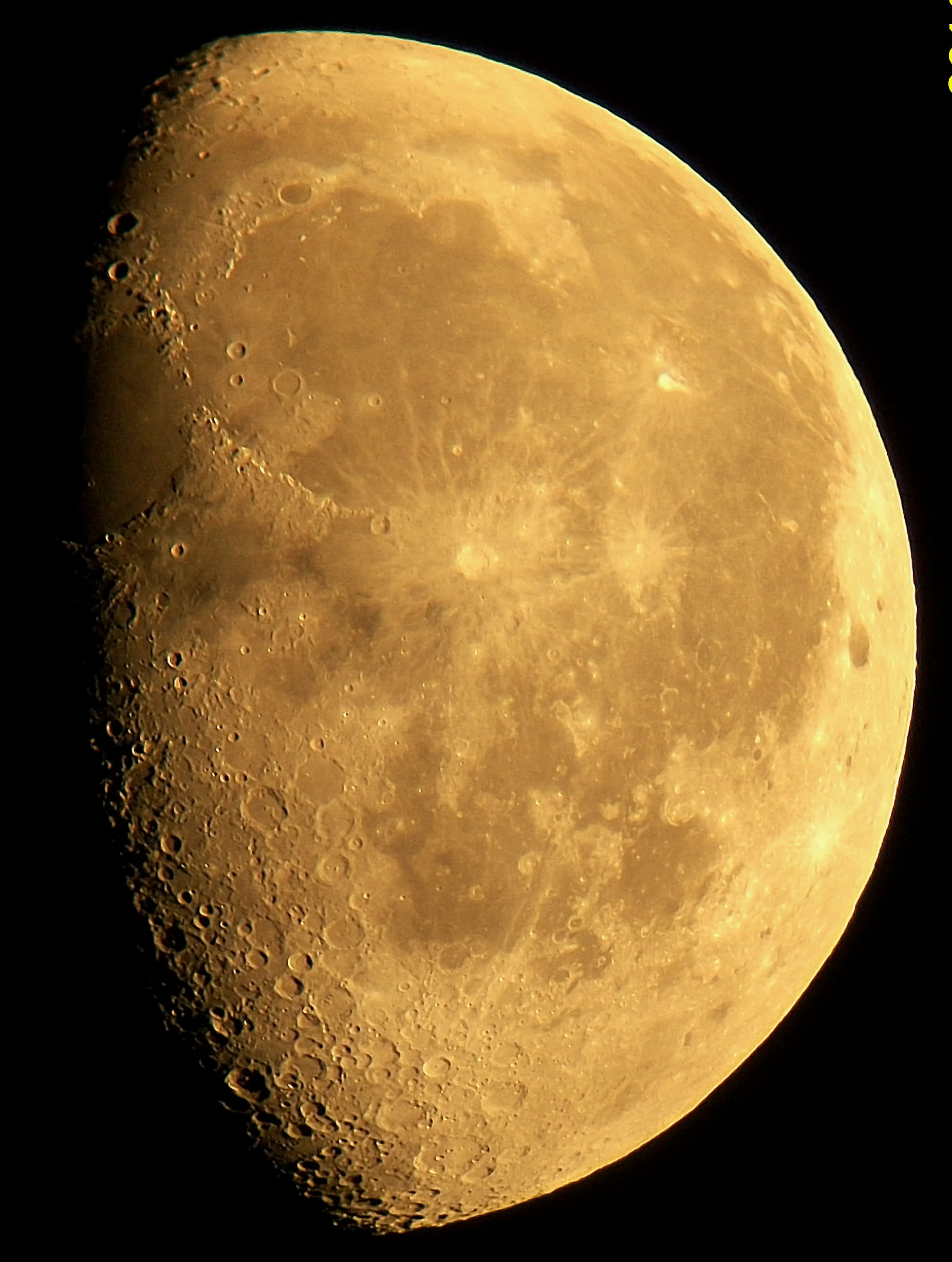 100_2811-001.jpg