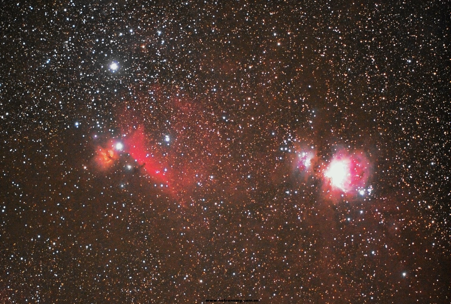 orion-120X8-局部.jpg