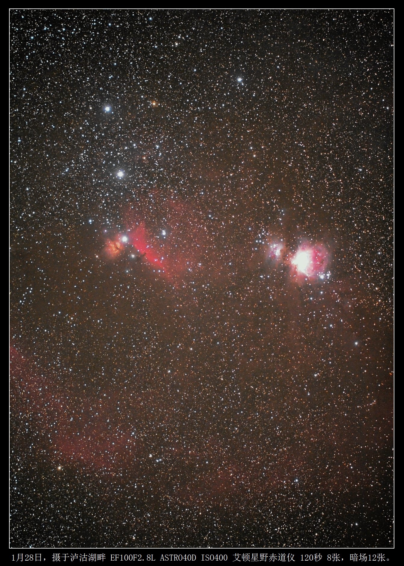 orion-120X8-小.jpg