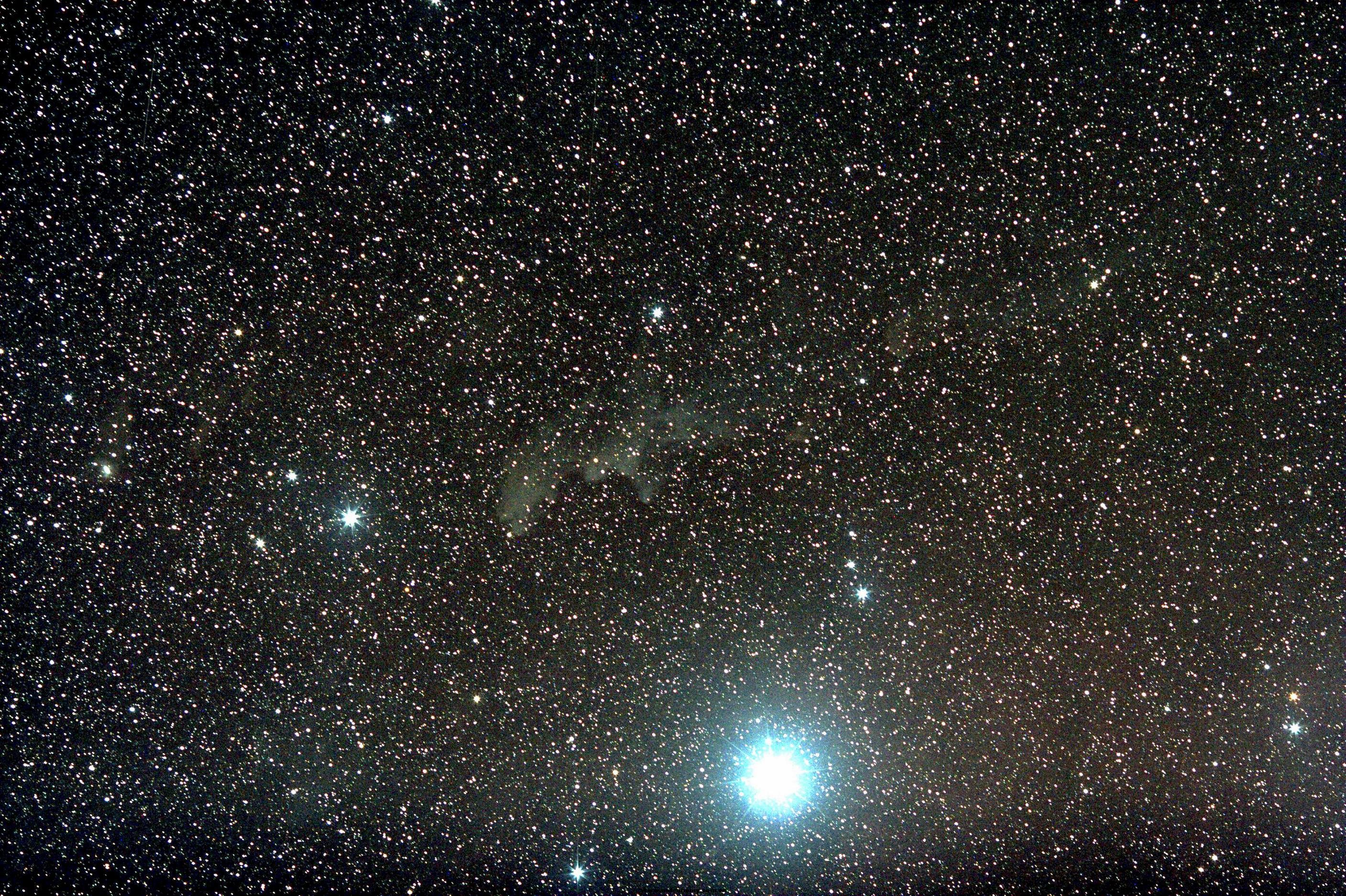 IC 2118.jpg