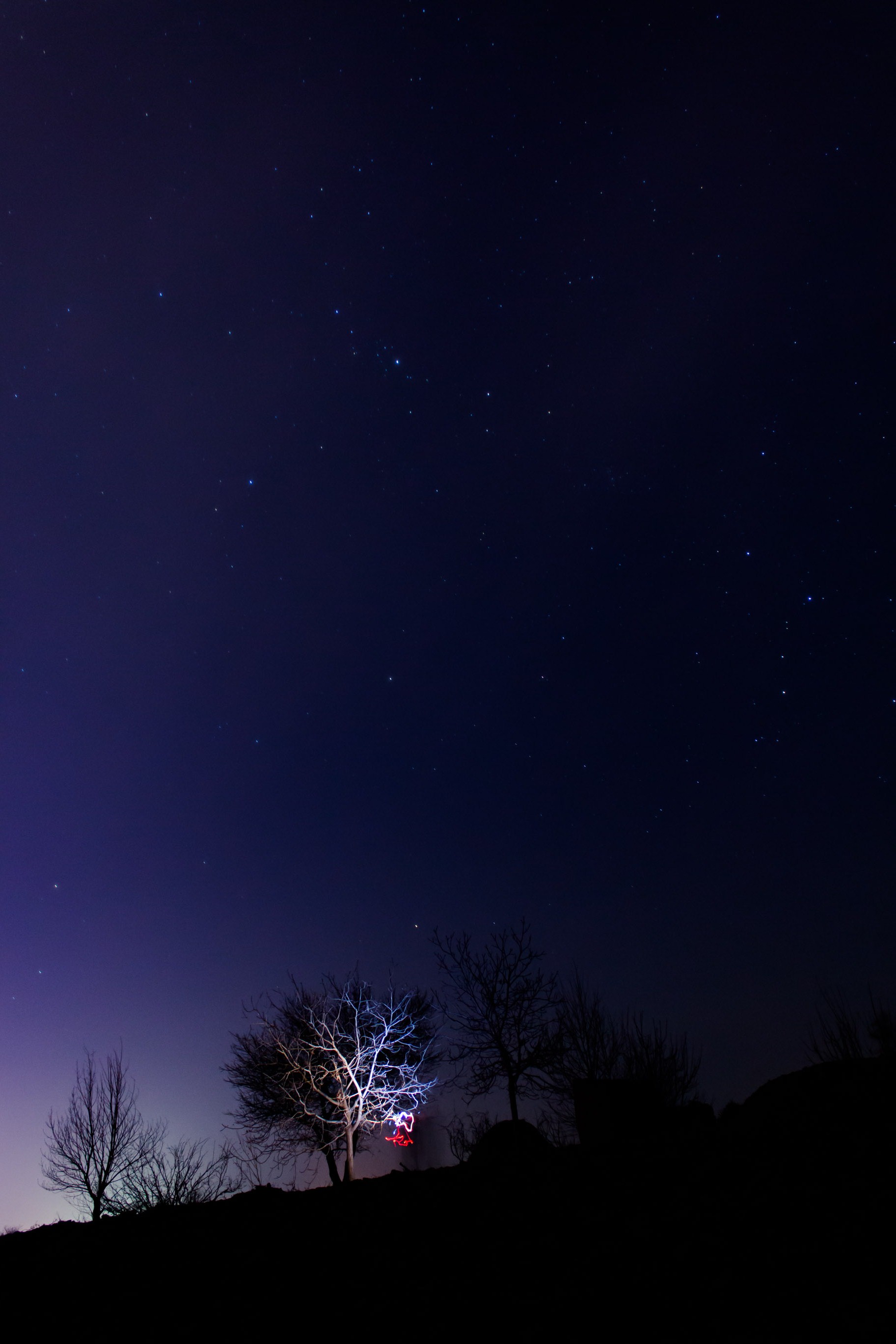 _MG_2680.jpg