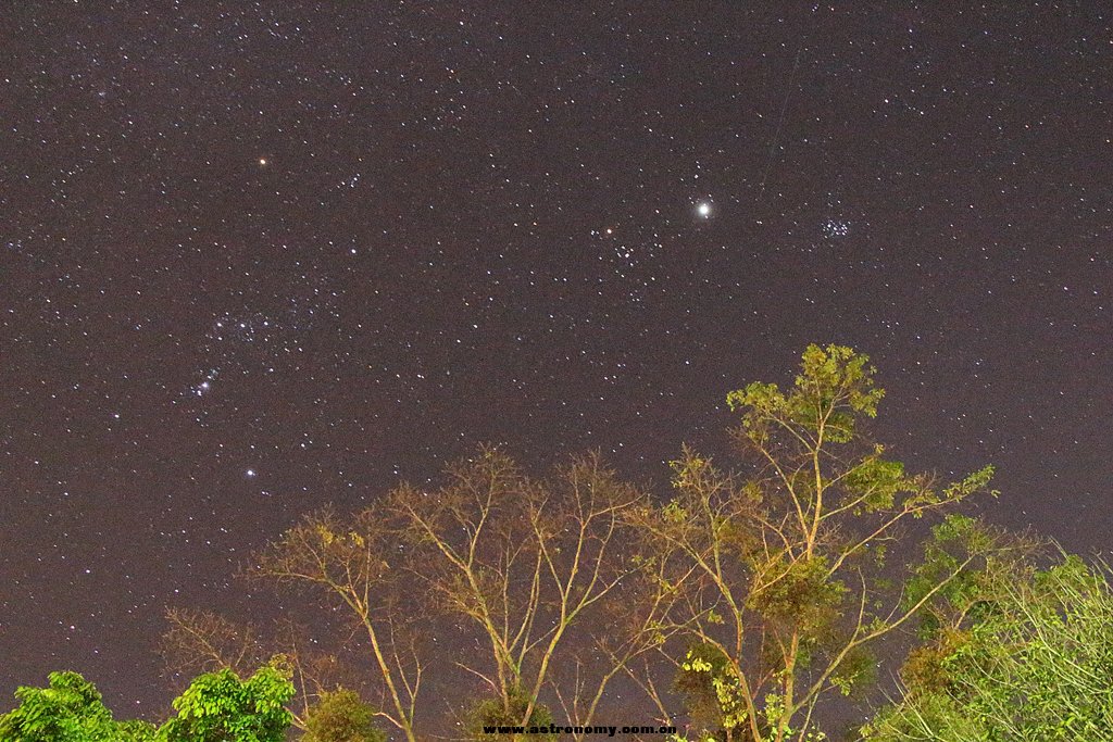 星1.jpg