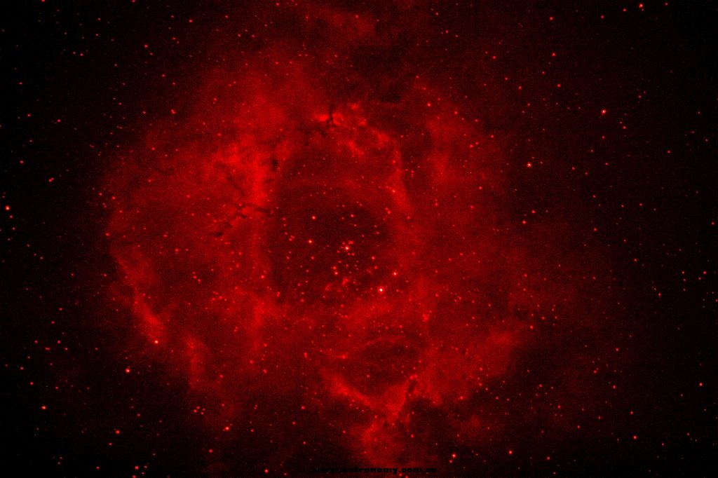 rostta1A-SIZE.jpg