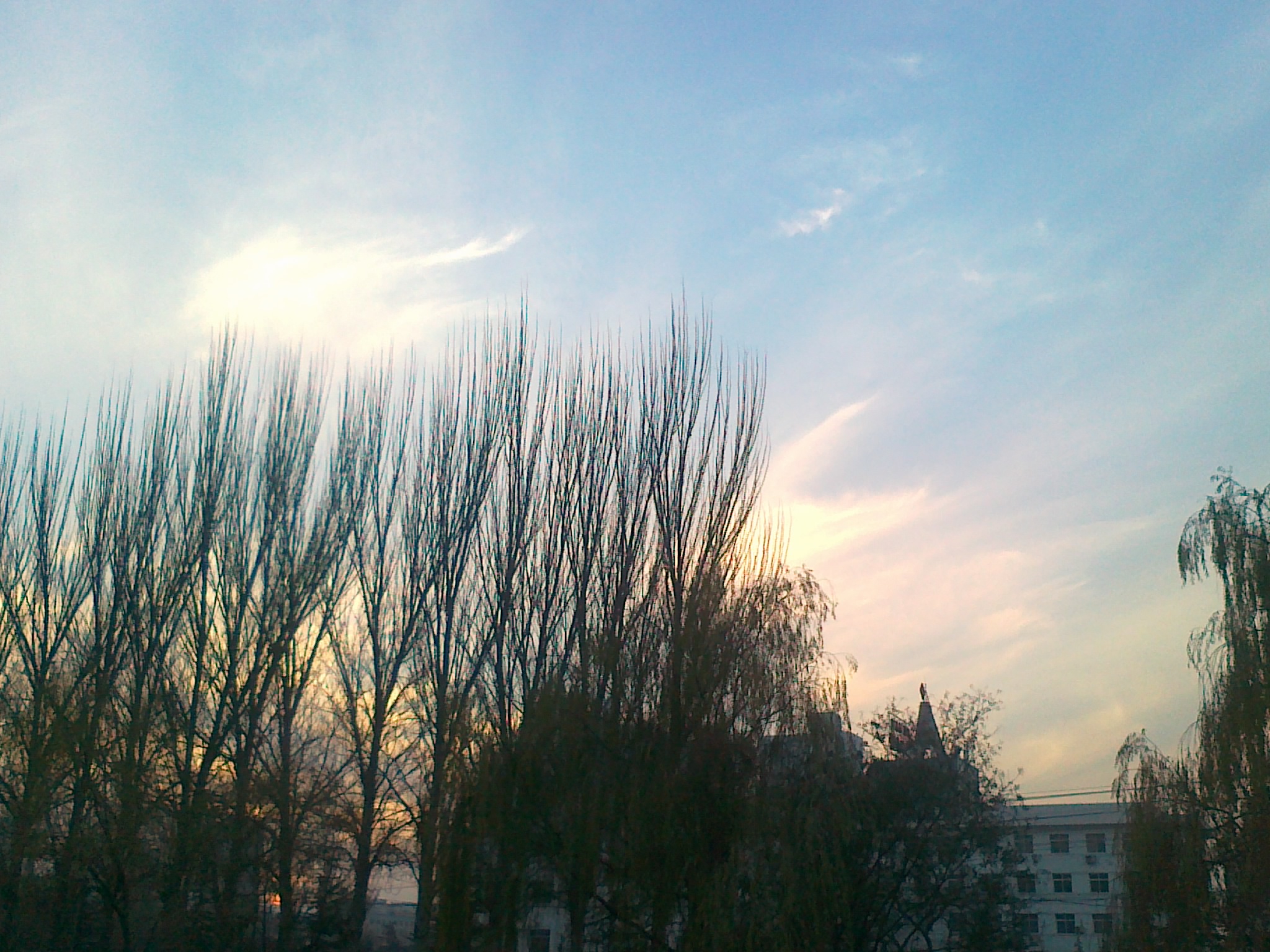 20101127088.jpg