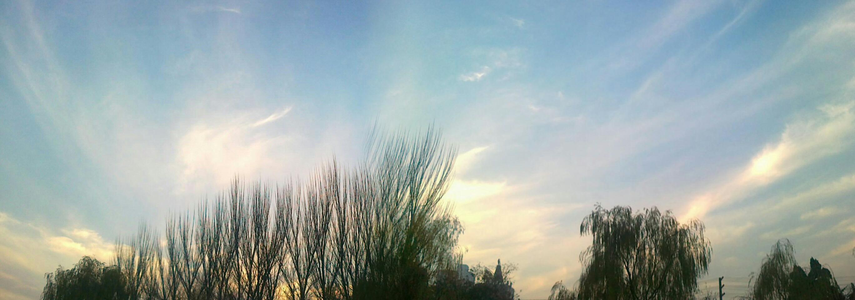 20101127090.jpg