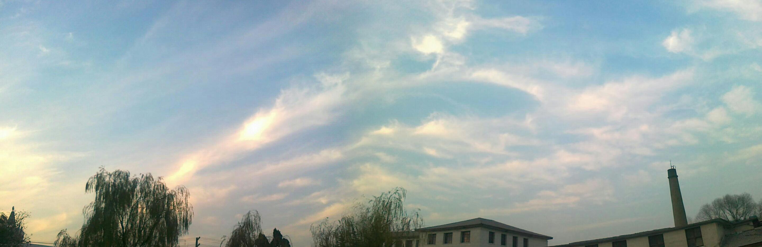 20101127091.jpg