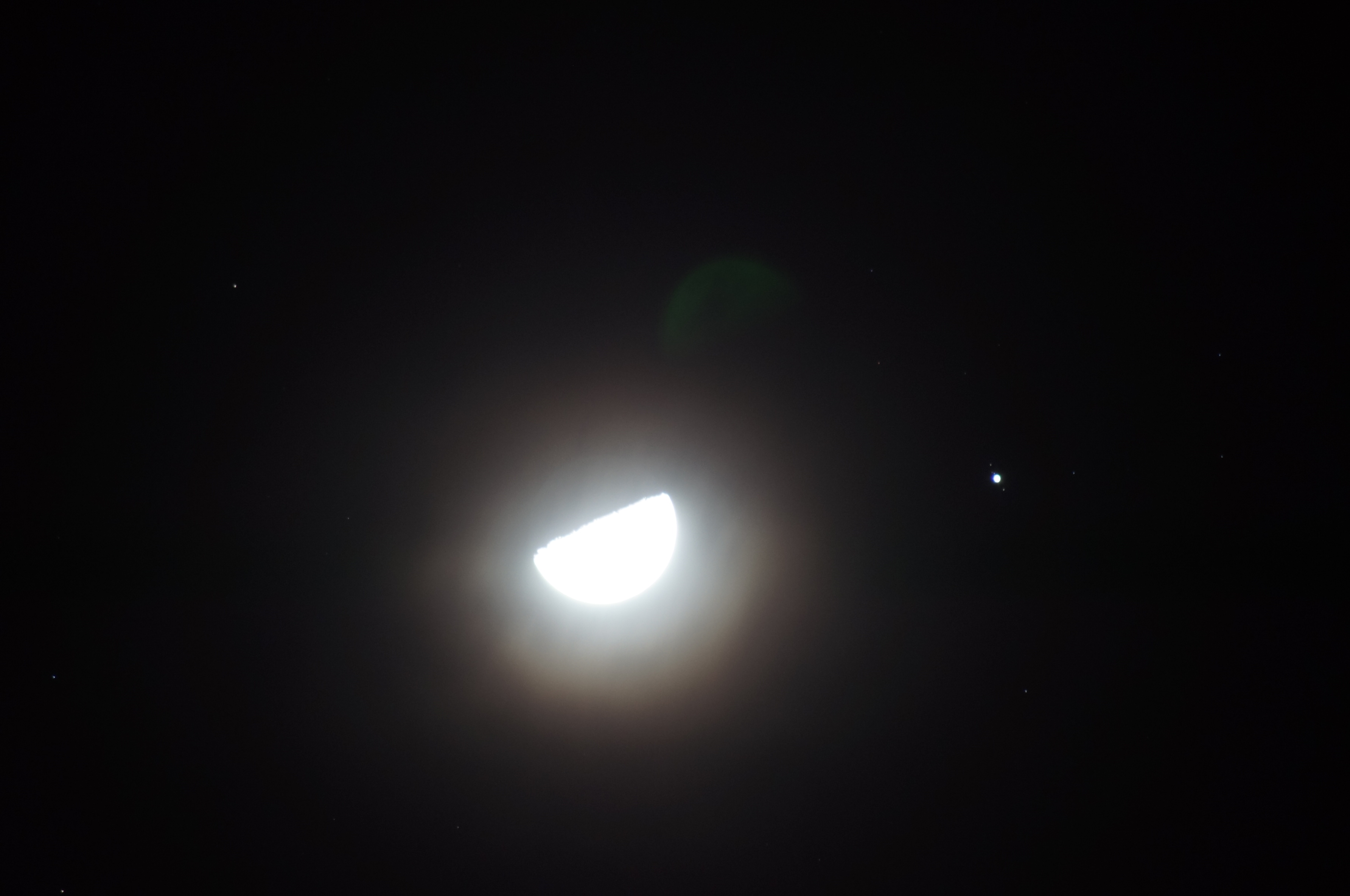 DSC03137.JPG