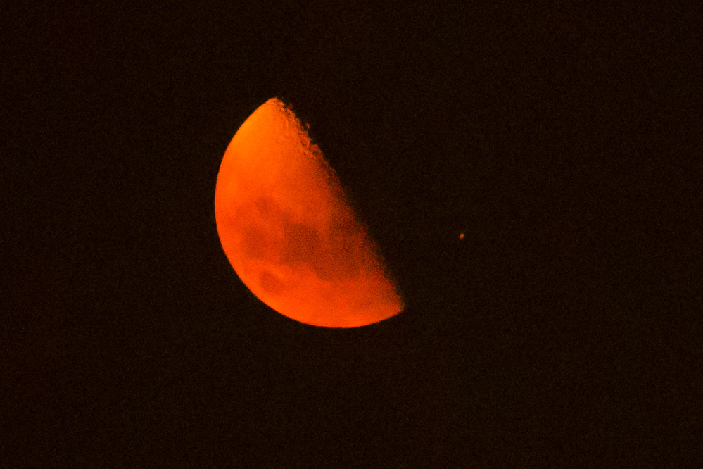 ZQA_0935ACRs.jpg