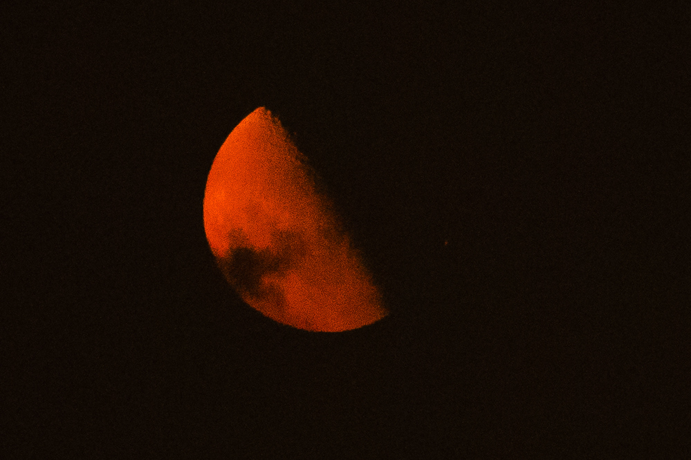 ZQA_0936ACRs.jpg