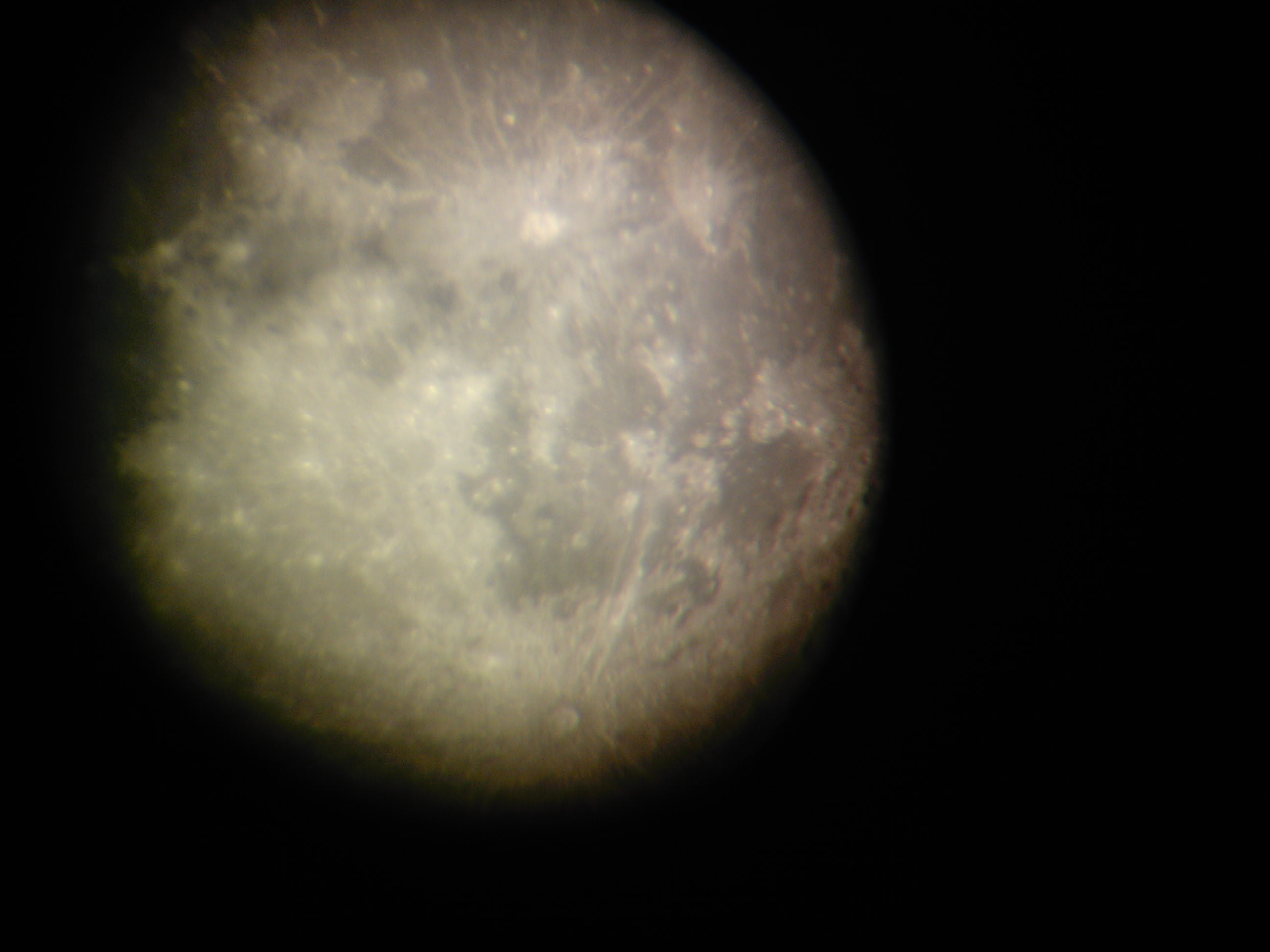 C360_2013-02-23-21-47-12.jpg