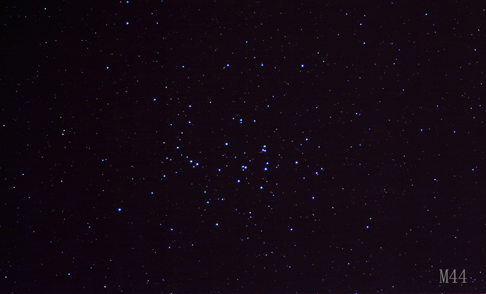 44m-RGB副本.jpg