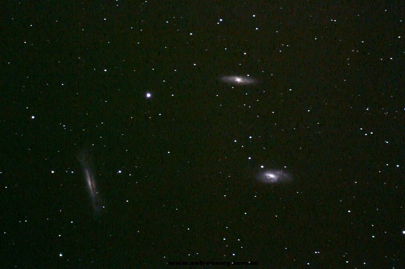 m66..jpg