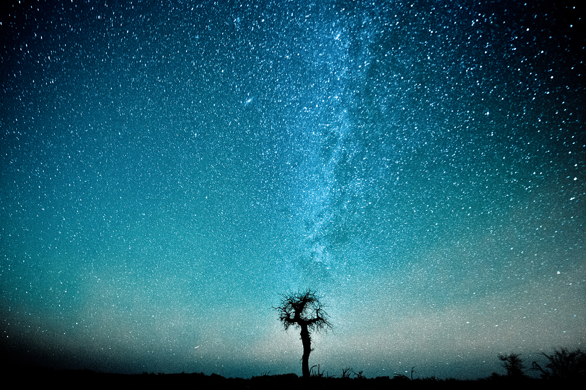什么叫“亚历山大”就是一棵小树经受不住银河的压力.jpg