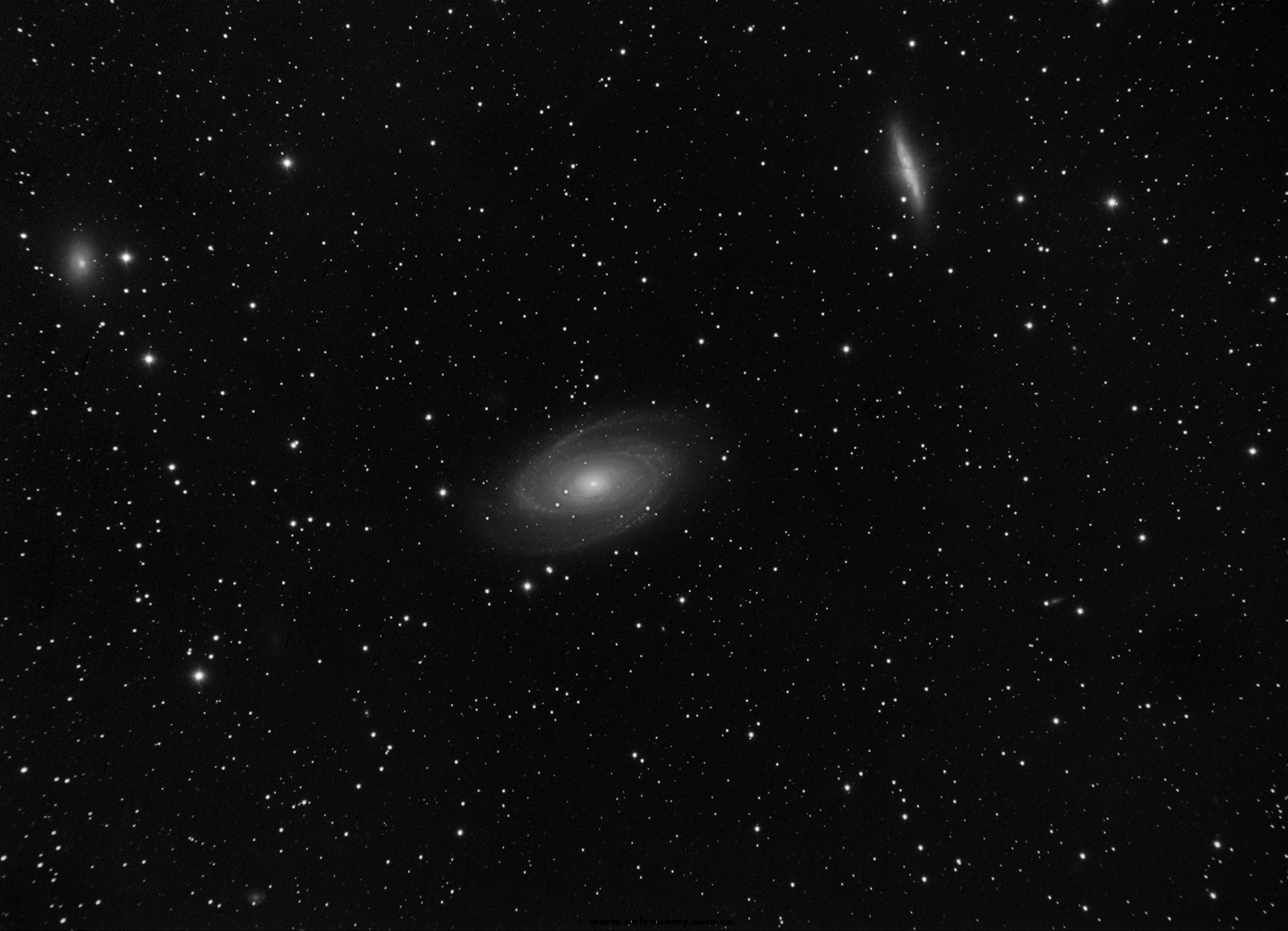 复件-复件-m81.jpg