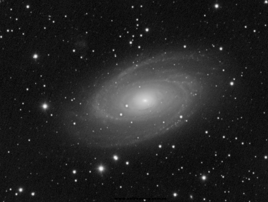 m81 2.jpg