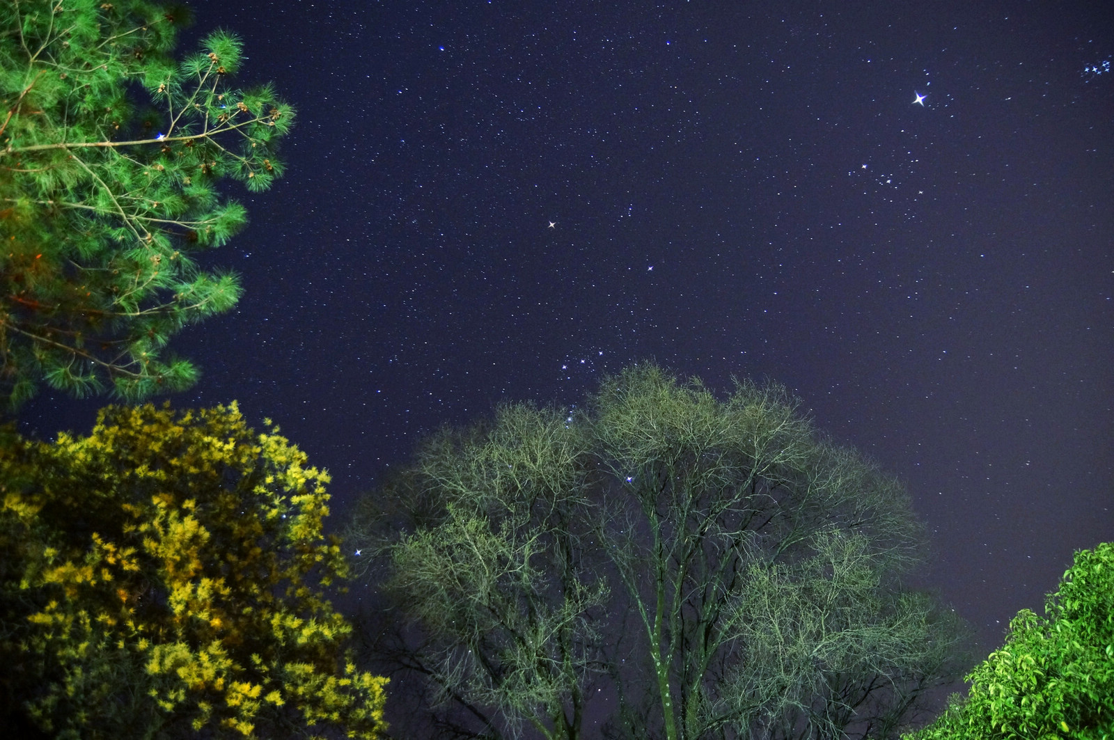 星野1.jpg_214621phm881hx8bh5mgyq.jpg