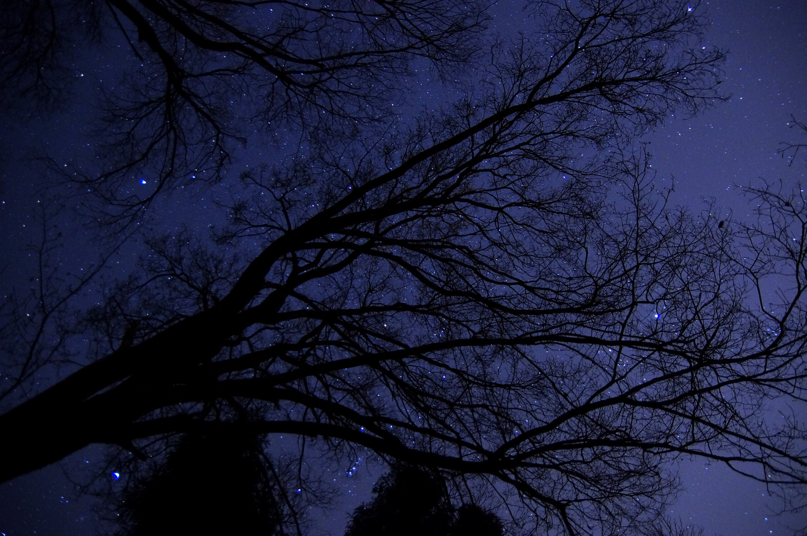 星野2.jpg_214633c7i1wzuye2te8e49.jpg