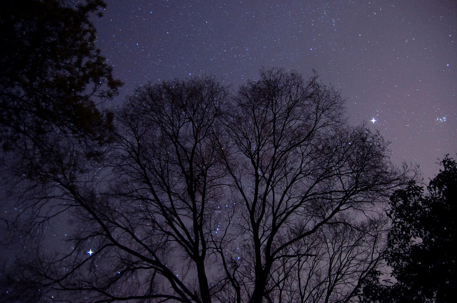 星野3.jpg_214645u371q1hkkxiybiuo.jpg