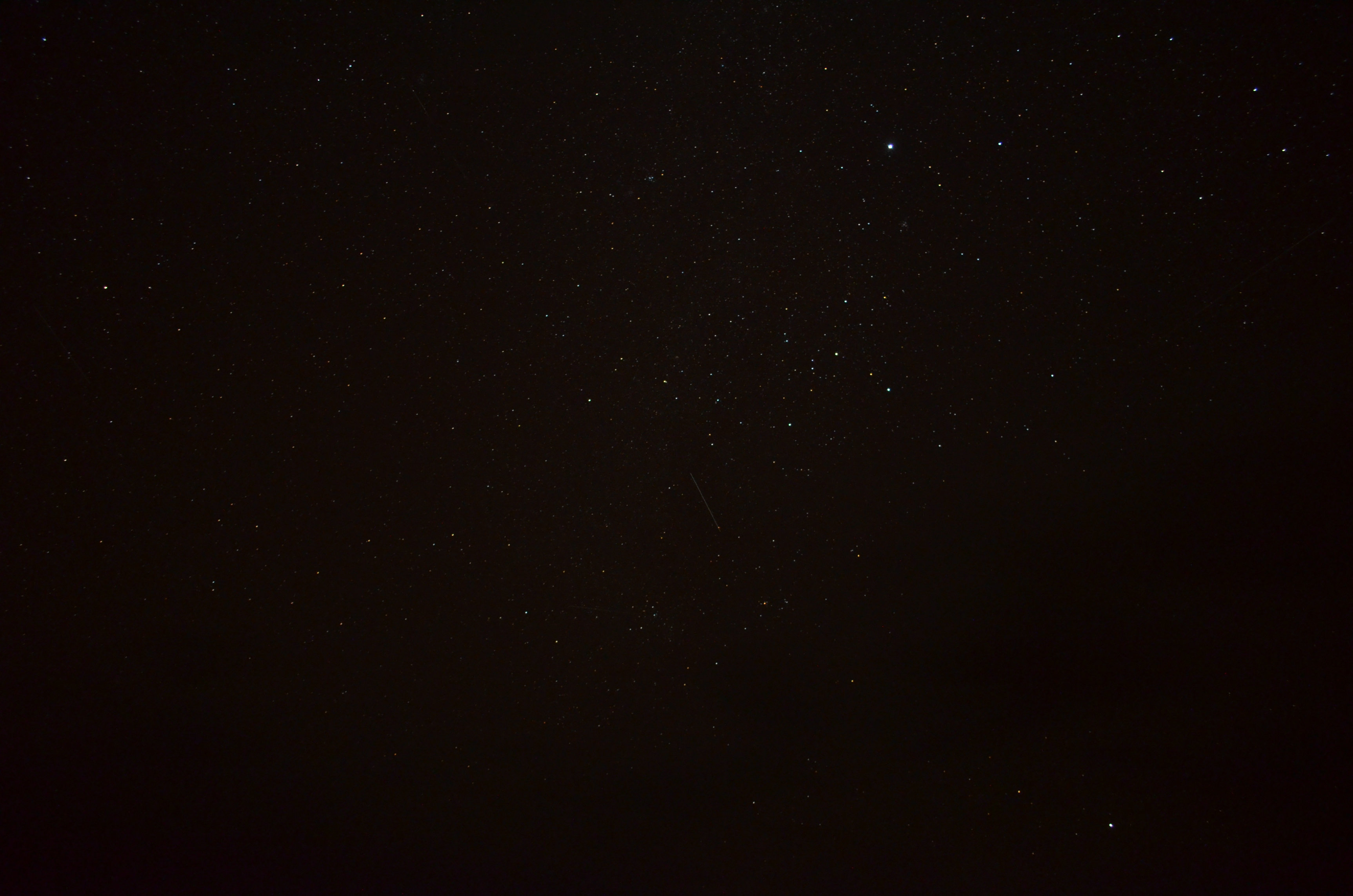 DSC_0153.JPG