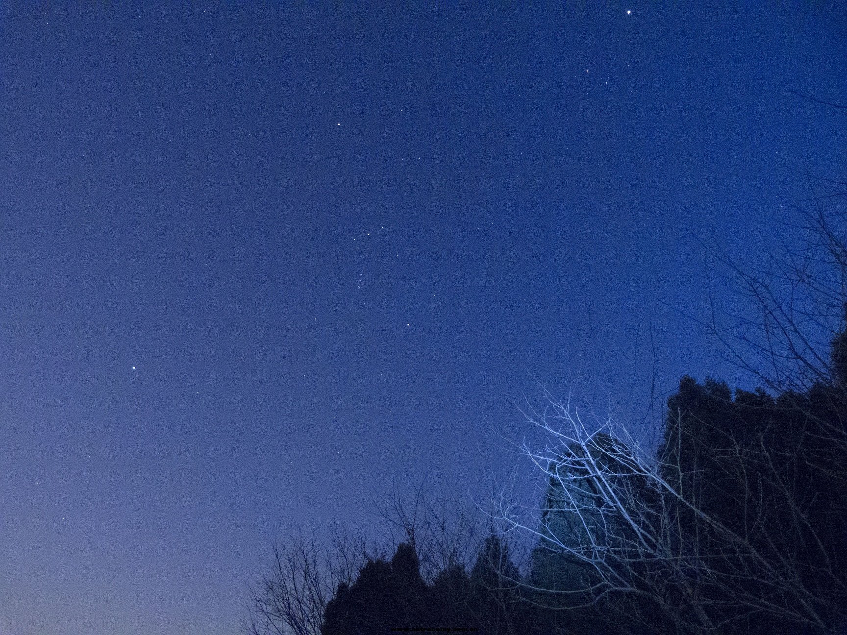 P1000083_1.JPG